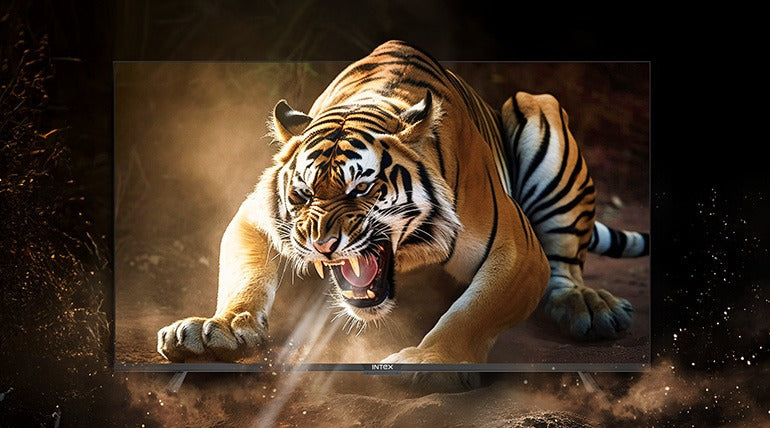 What to Look for When Buying a 55-Inch 4K Smart TV?