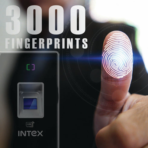 Intex B3 + Biometric
