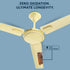 Intex Aero Fighter Pro 1200MM Ceilling Fan