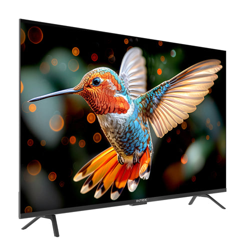 Intex 55” 4K QLED Google TV | LED-GQ5521 (1m 38cm)