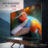 Intex LED-WOS6530U - 164 cm (65") | 4K UHD LED TV (webOS)