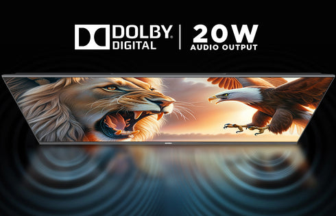 Intex 50" 4K Ultra HD Google TV | LED-SGUV5001 (1m 25cm)