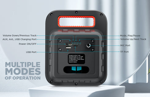 IT 202 12W Bluetooth Speaker