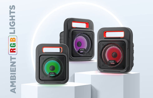 IT 202 12W Bluetooth Speaker