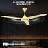 Intex Aero Fighter 1200mm Ceiling Fan