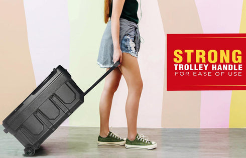 Thriller 450 (T-300 PRO) Trolley Speaker