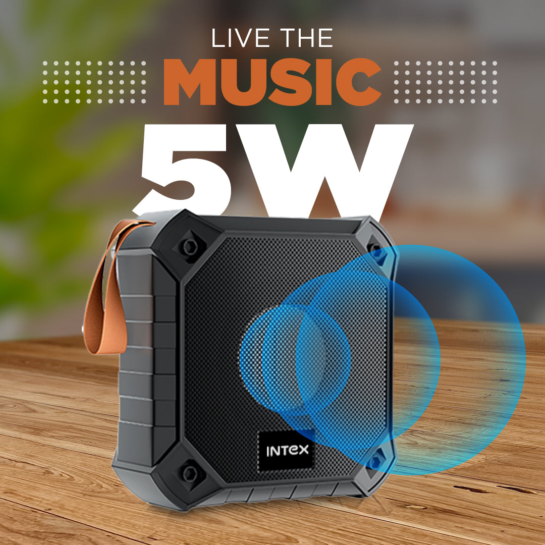 Best Bluetooth Speakers Under 1000 Intex Beast 101+ Intex Technologies